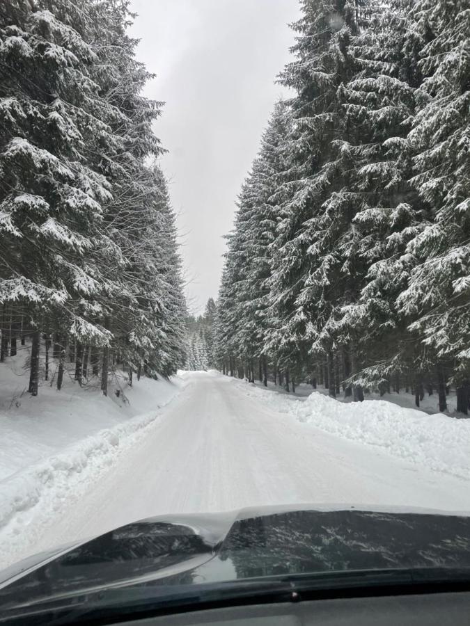 Chata Vevericka Oravská Lesná Kültér fotó